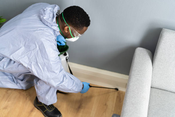 Best Pest Prevention Services  in Dorothy, NJ